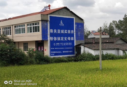 荊門決定墻體廣告價(jià)格的因素有哪些？
